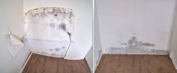 Carpet water damage restoration in Platteville, WI